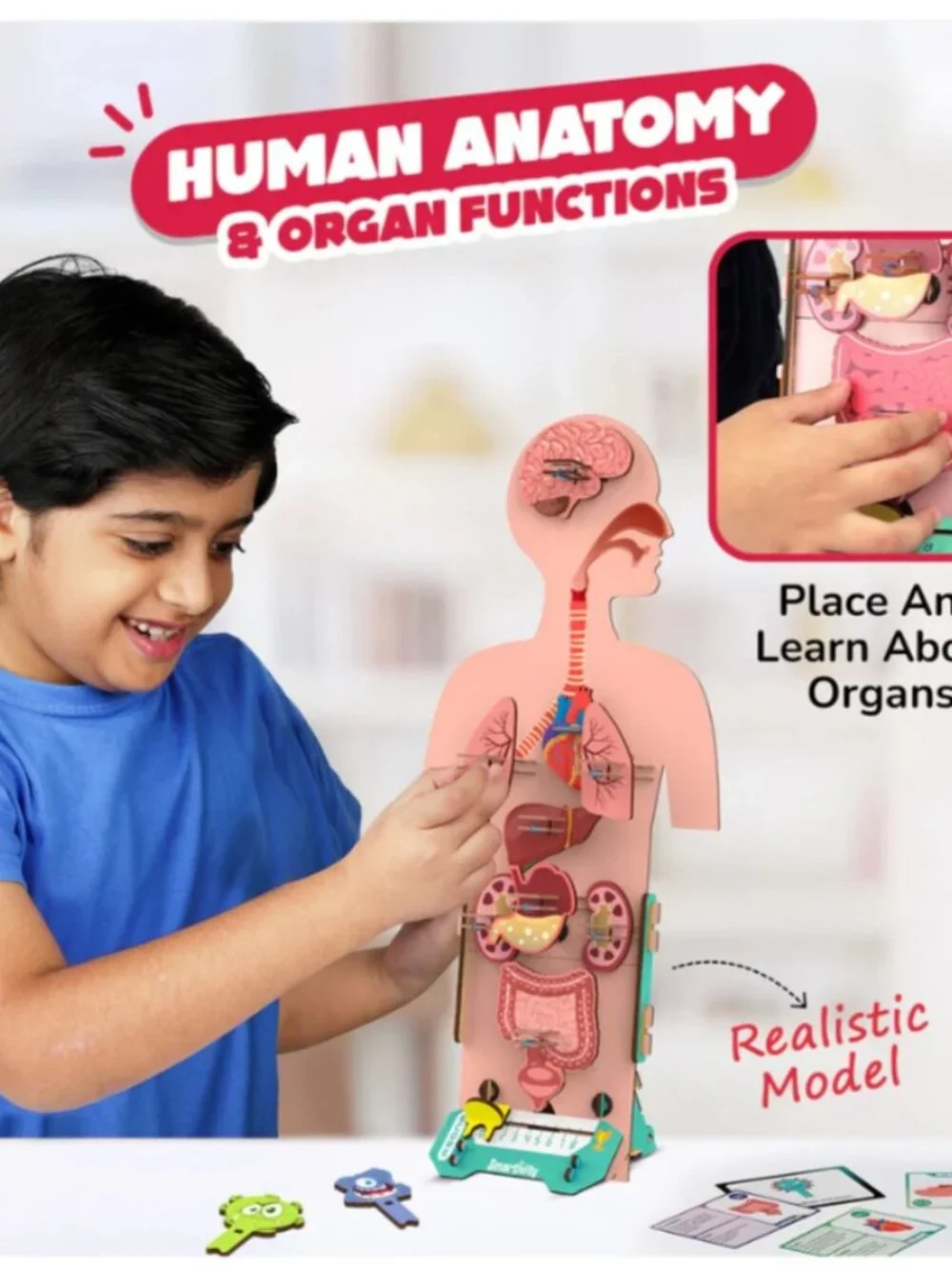 New Smartivity Human Body DIY Stem Kit Set Science Experiment Anatomy Biology 3D